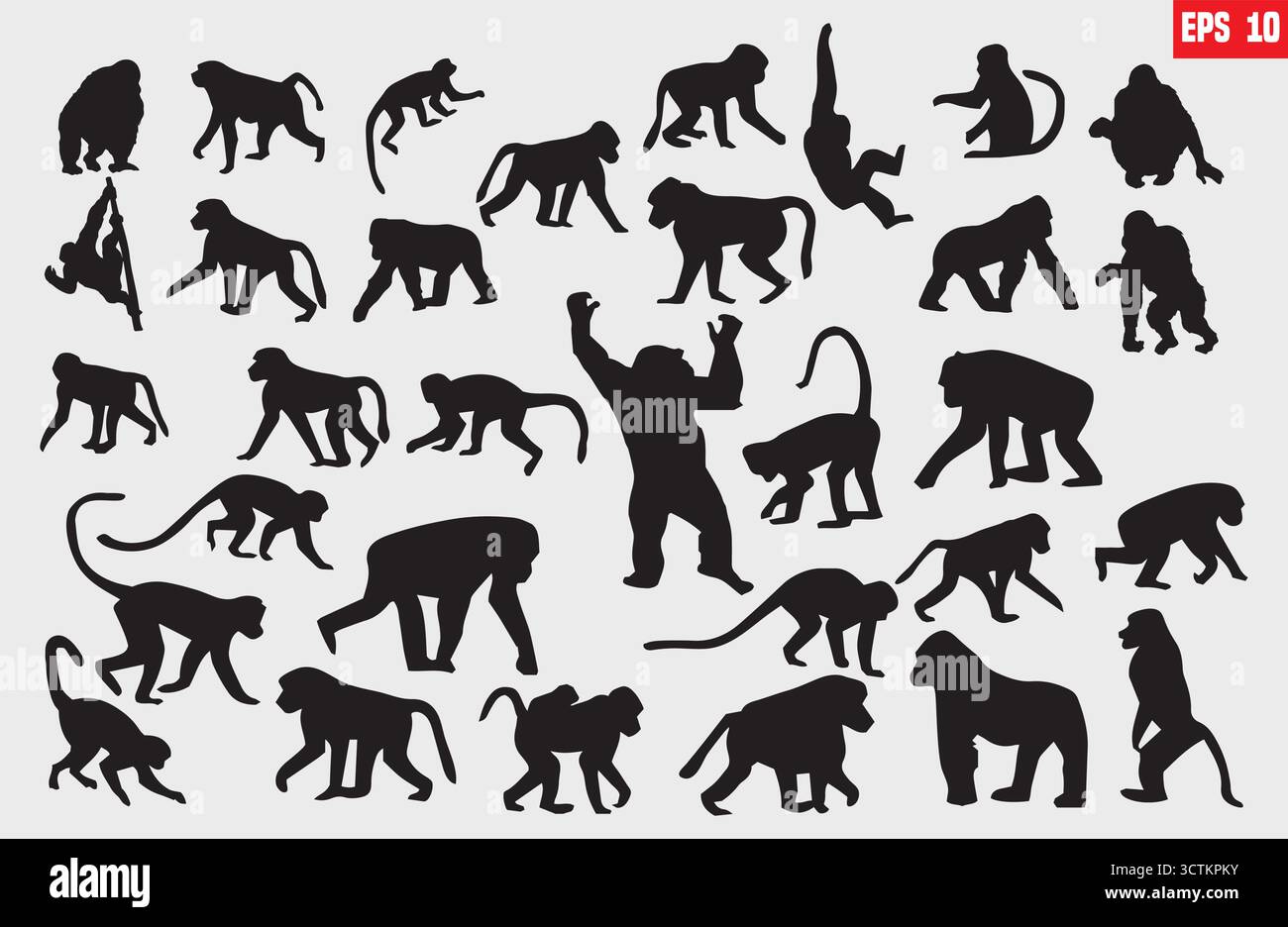 Monkey silhouettes, Monkey silhouette collection, Sitting monkey silhouette, Monkey vector illustration Stock Vector