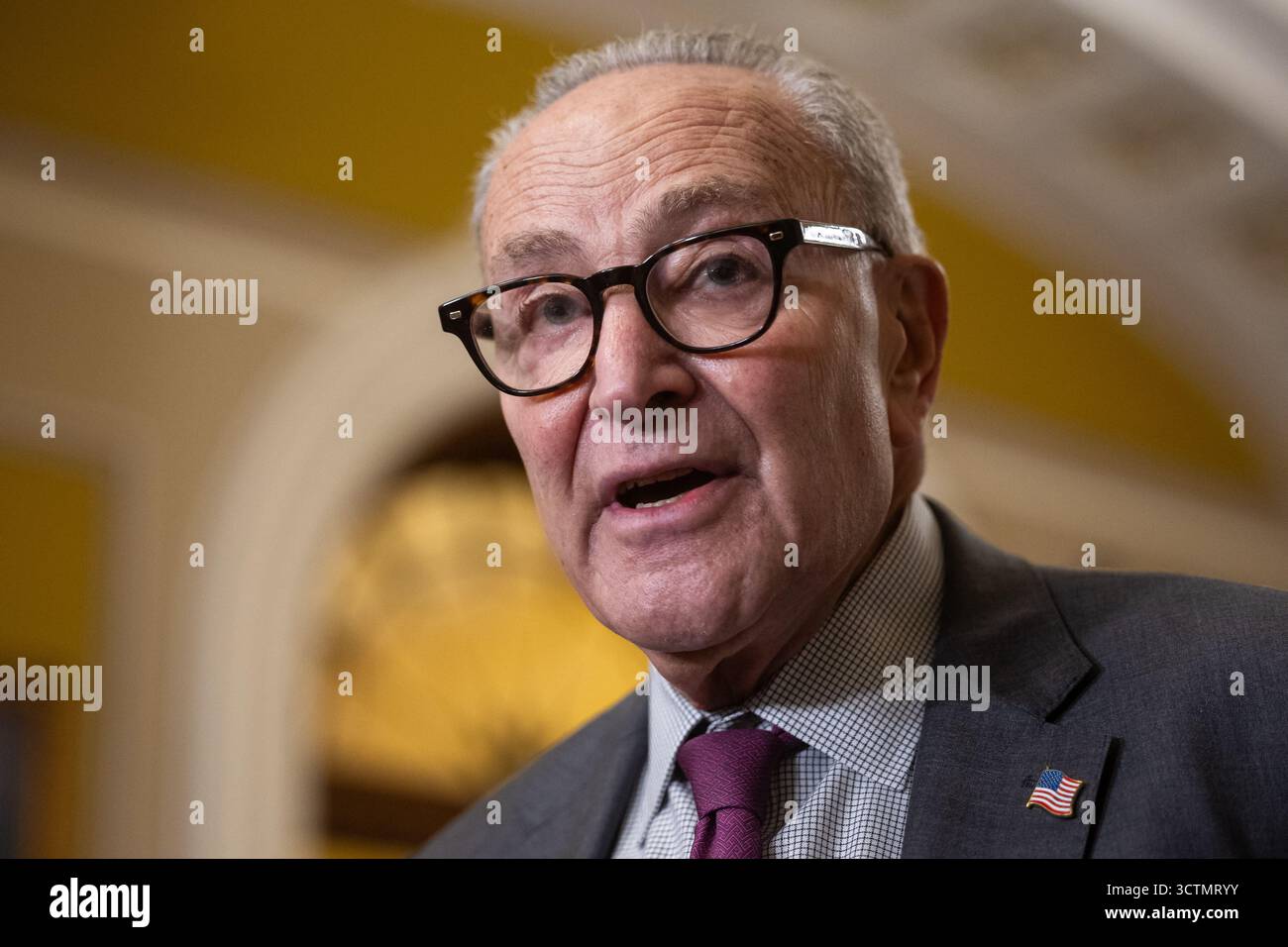 Senate Minority Leader Chuck Schumer (D-N.Y.) speaks during a press ...