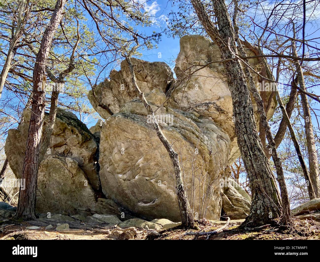 Silent witness on the Appalachian Trail - Smartphone Captured Stock Image