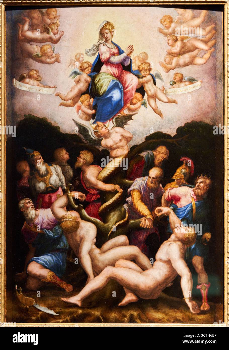 Allegory of the Immaculate Conception, 1543 circa, oil on wood