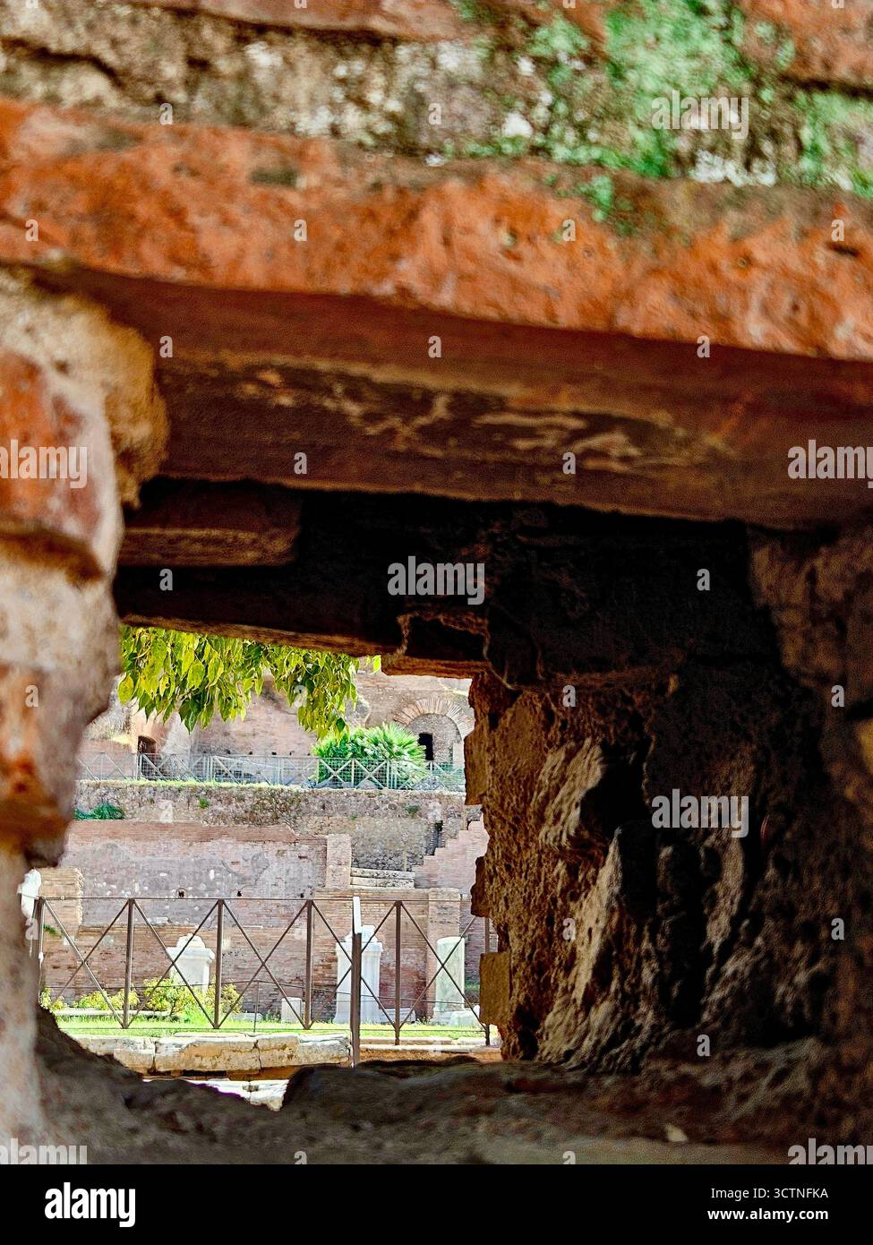 Ruins of Rome - Smartphone Captured Stock Image