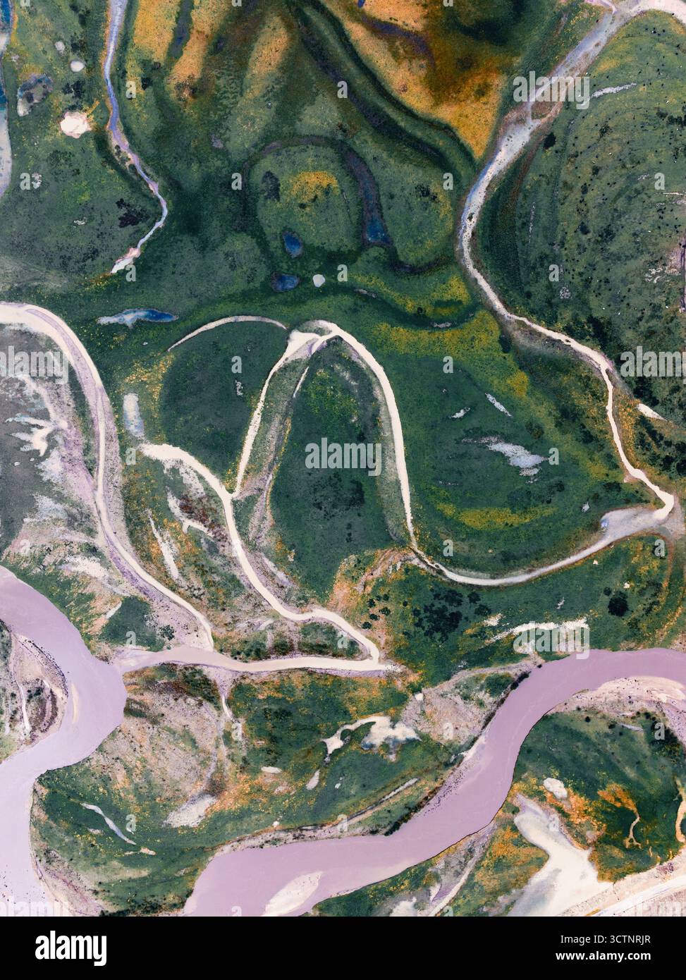 Manzetang high-altitude wetlands, upper reaches of the Yellow River ...