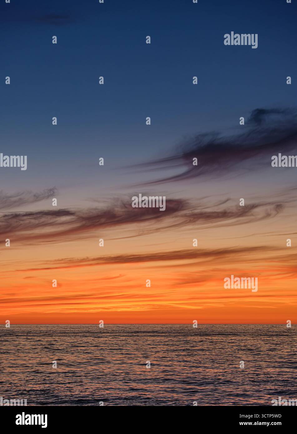 Purple color palette fading hi res stock photography and images Alamy