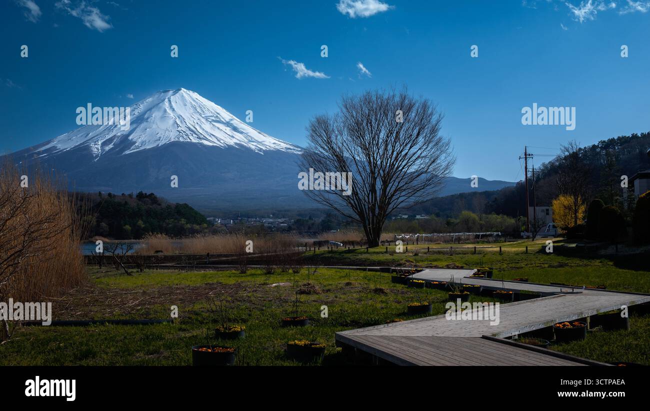 A curved path leads to Mount Fuji. Stock Photo