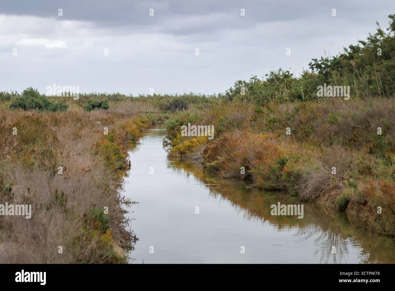 Water supply ditch with reflections and vegetation in El Hondo Natural Park, Spain Stock Photo