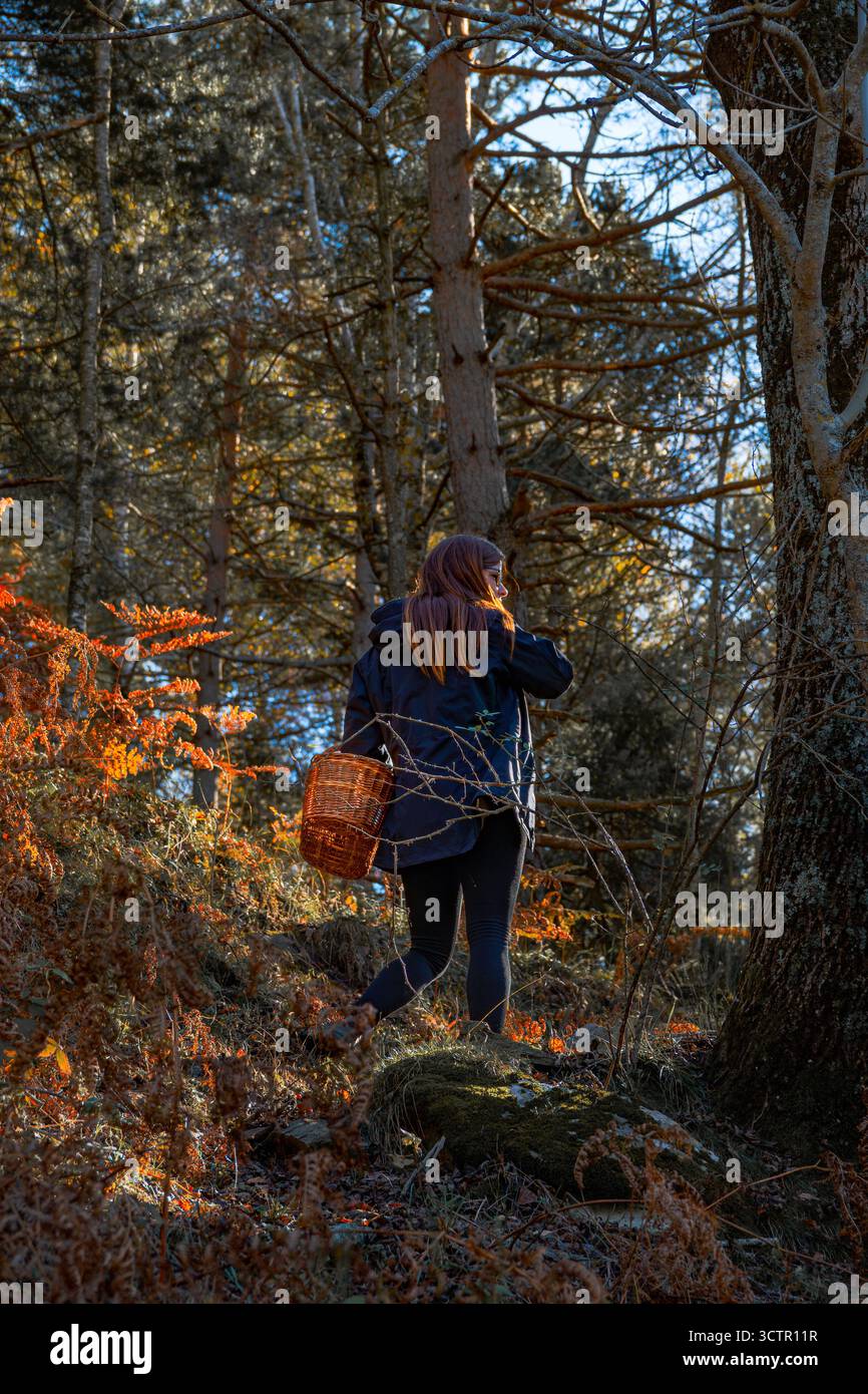 Woman mushroom picker walking hi-res stock photography and images - Alamy