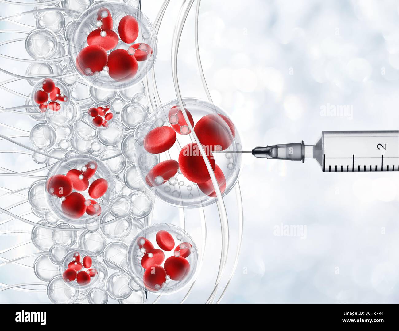 Skin cells stem cells hi-res stock photography and images - Alamy