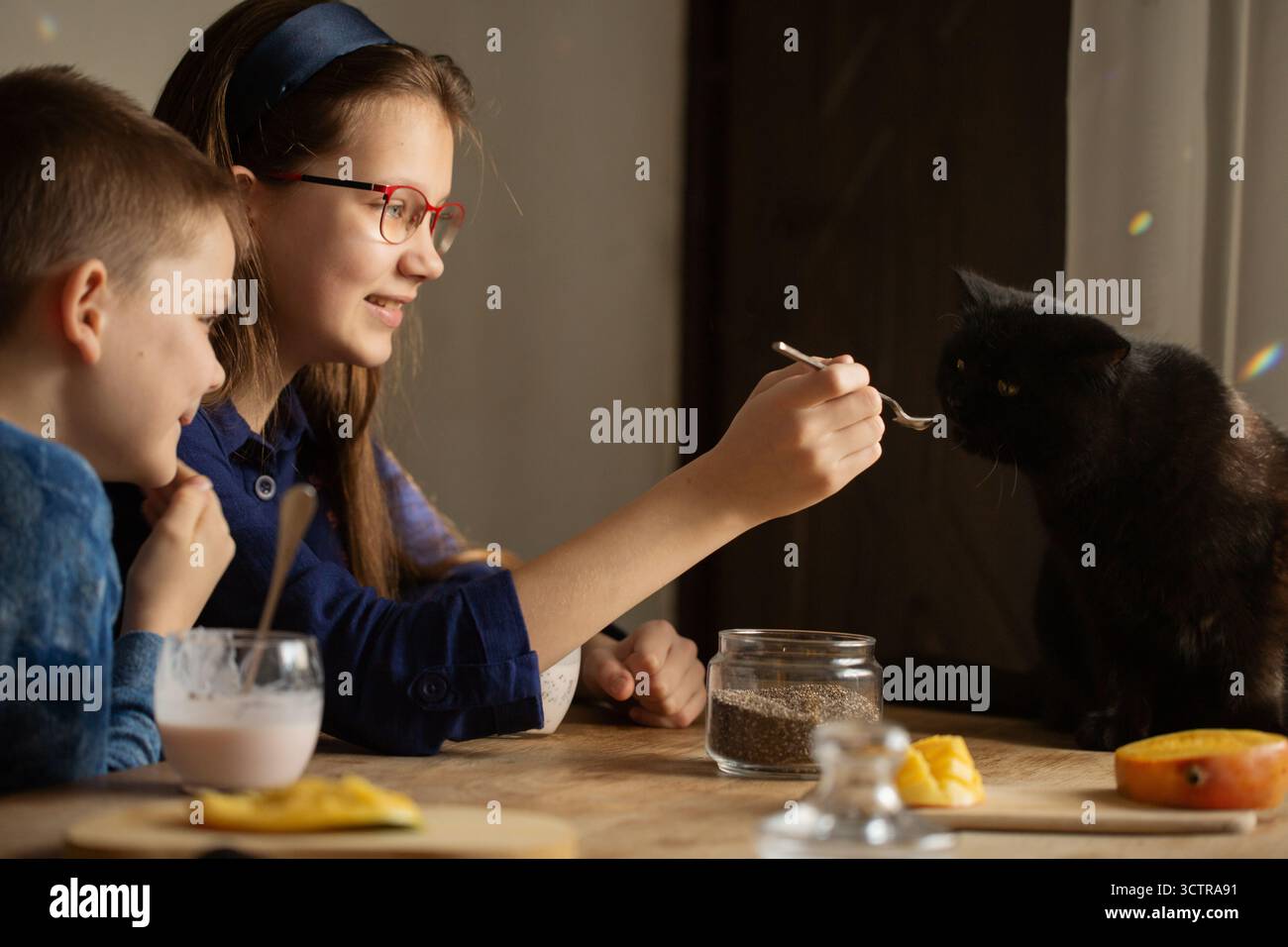 Brother and sister smiling and feeding a black cat with a spoon while having breakfast with mango and chia pudding on a wooden table in morning light Stock Photo