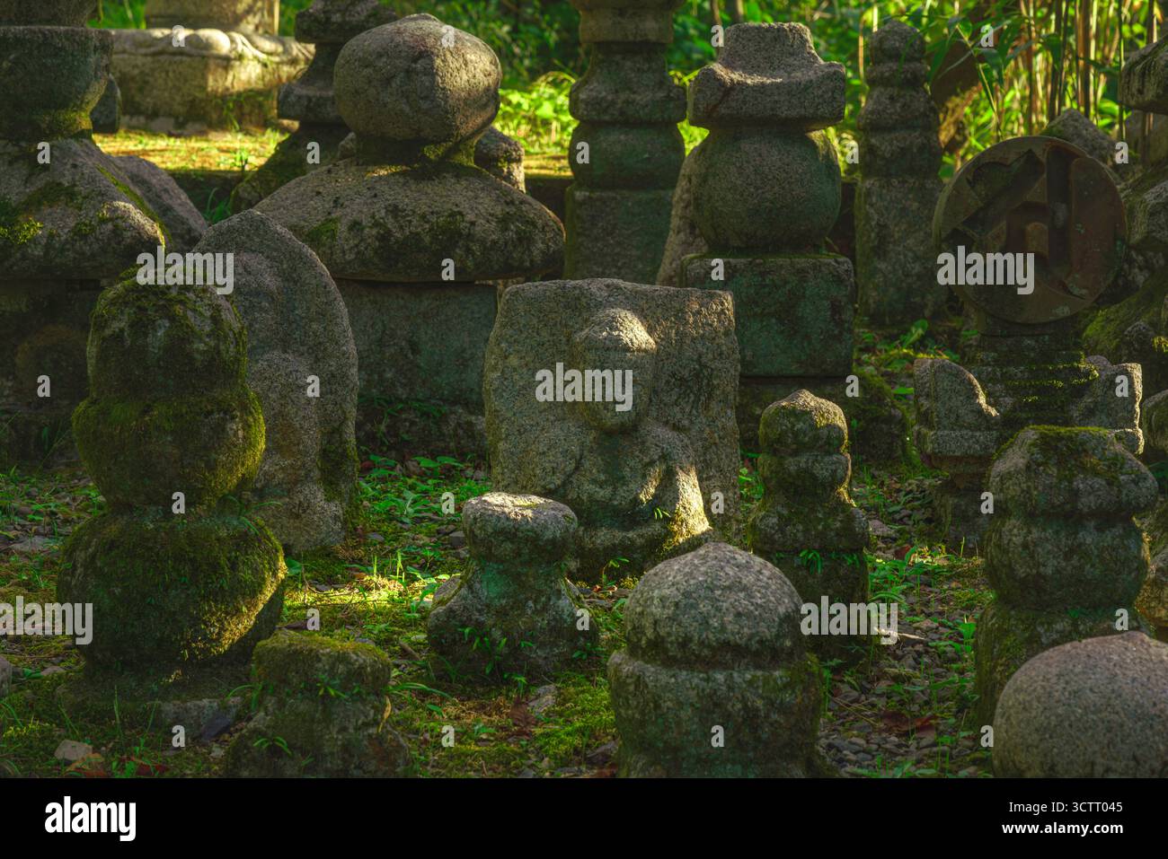 Kyoto, Japan - Oct 11 2024, panoramic view of cemetery with many moss-covered tombstones in form of stone pyramids or sculptures surrounded by trees o Stock Photo
