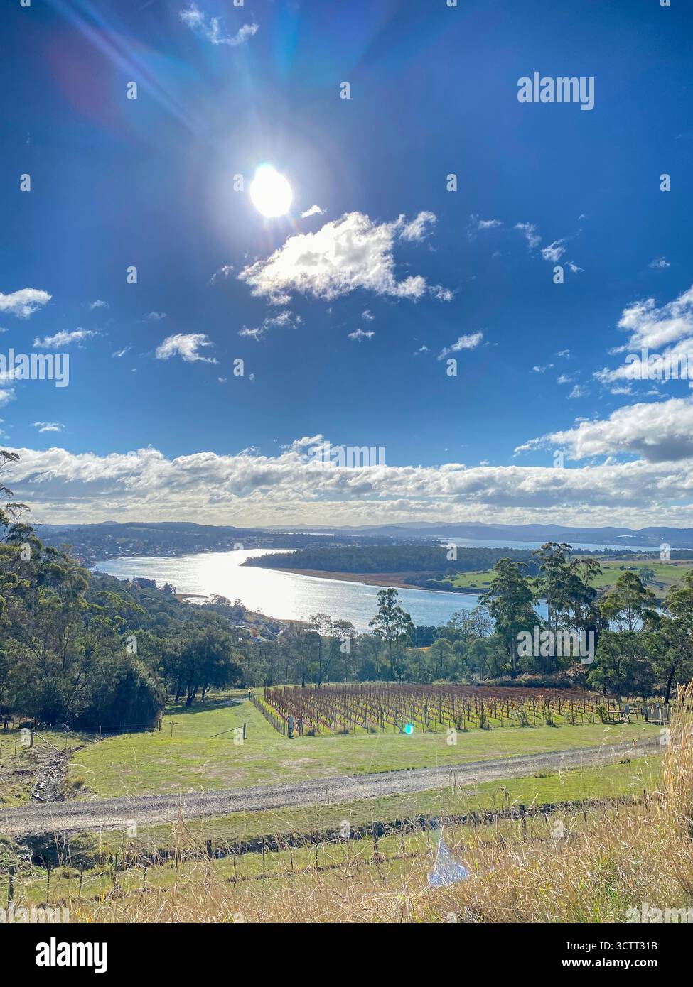 View of the 70-kilometre estuary of the Kanamaluka (its official name) Tamar River from Brady’s Lookout State Reserve on the west side in northern Tas - Smartphone Captured Stock Image