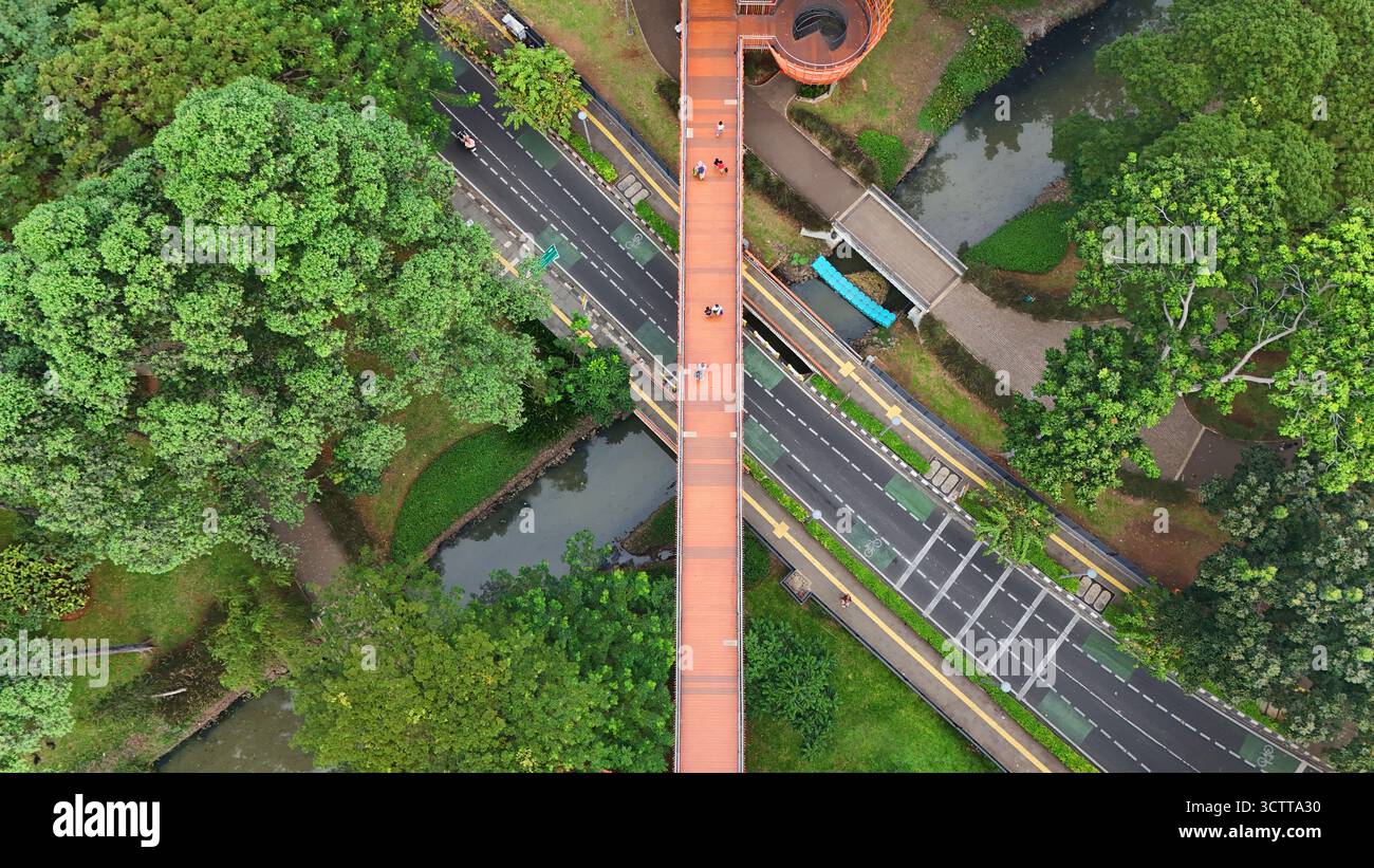 Aerial view of a modern pedestrian bridge cuts through a vibrant green