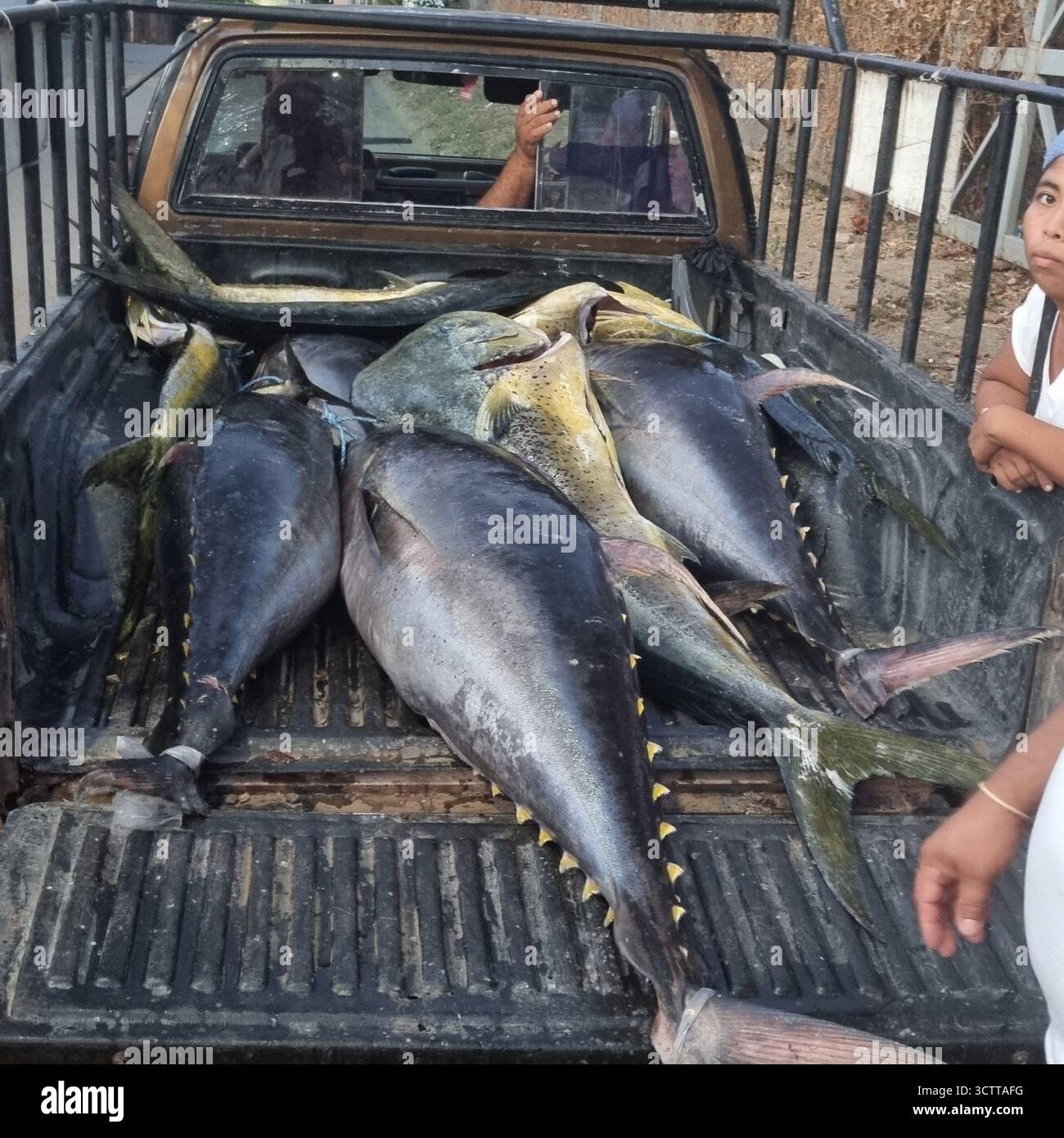 San Juan Del Sur Nicaragua - Smartphone Captured Stock Image