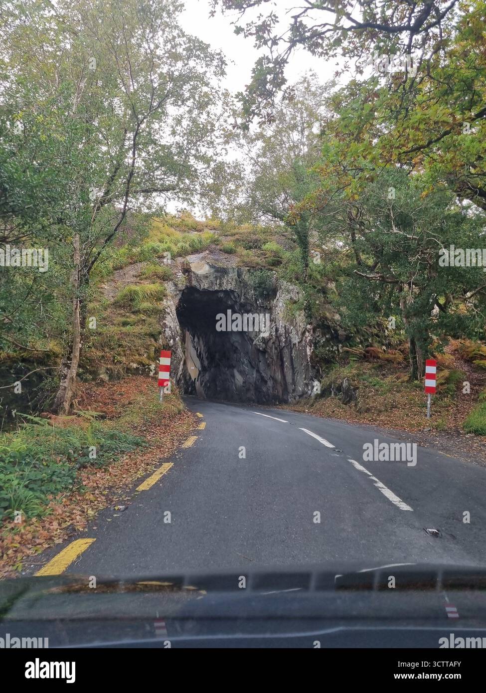 Roads of Killarney National Park Ireland - Smartphone Captured Stock Image