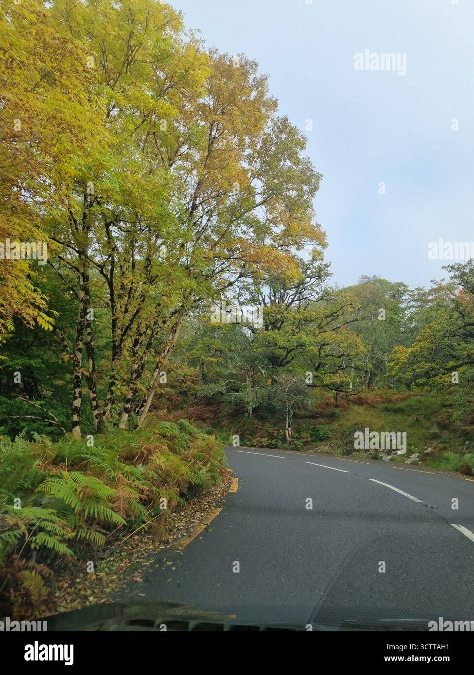 Roads of Killarney National Park Ireland - Smartphone Captured Stock Image