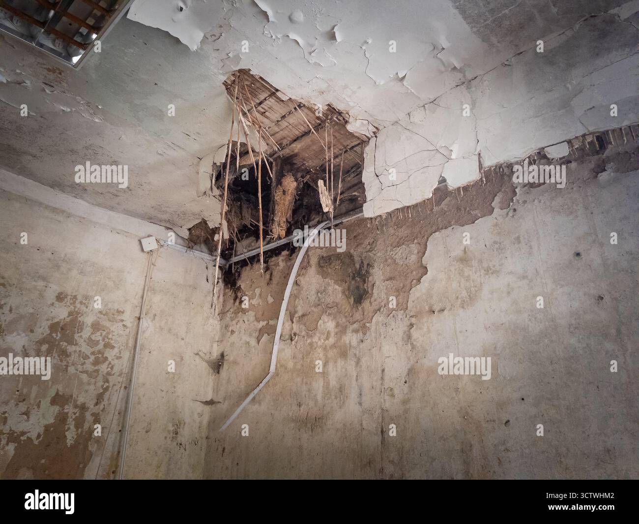 Cracked plaster hanging fibers damp walls exposed beams ceiling debris in neglected room showing structural damage decay Stock Photo