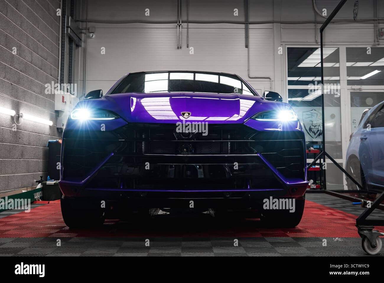 Purple Lamborghini In The Hood
