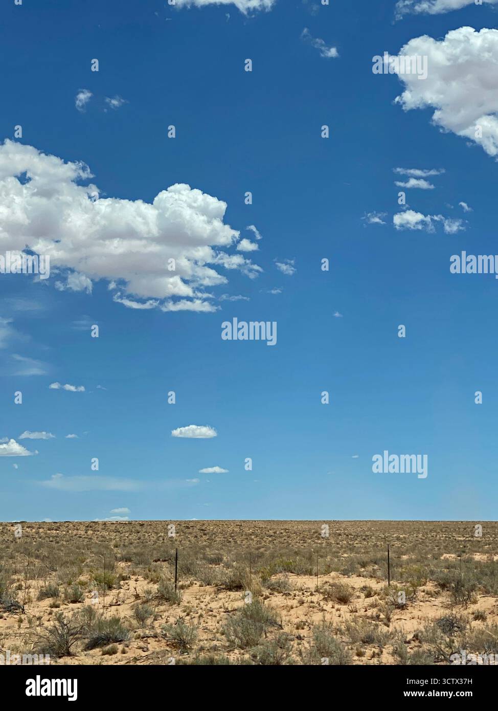 Vast, sandy desert landscape studded with scrub brush meeting a blue sky with cumulus clouds on Scenic Byway 24 in Utah, USA - Smartphone Captured Stock Image