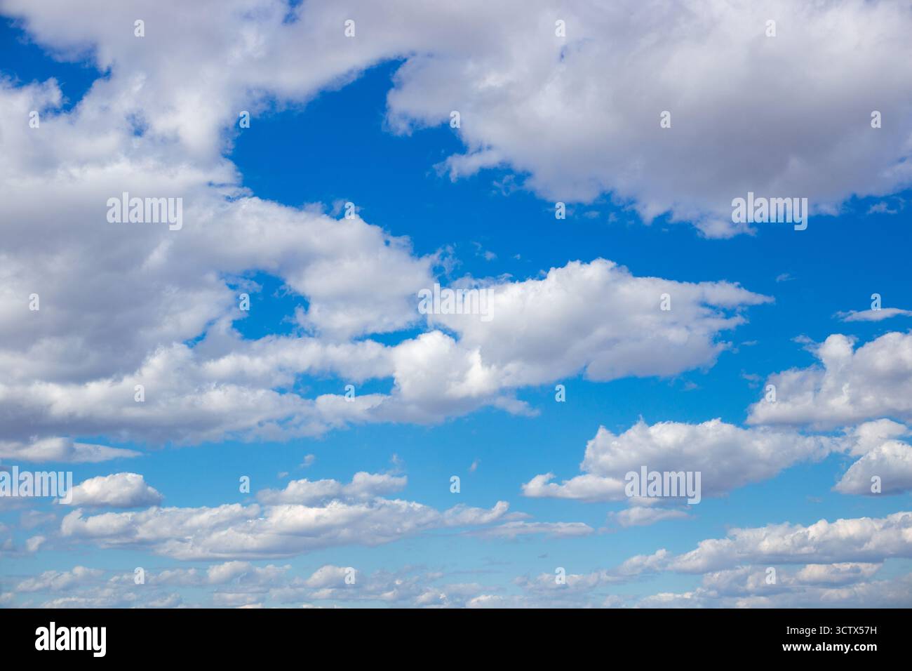 Fluffy white cumulus clouds float across a blue sky, a picturesque celestial landscape. Stock Photo