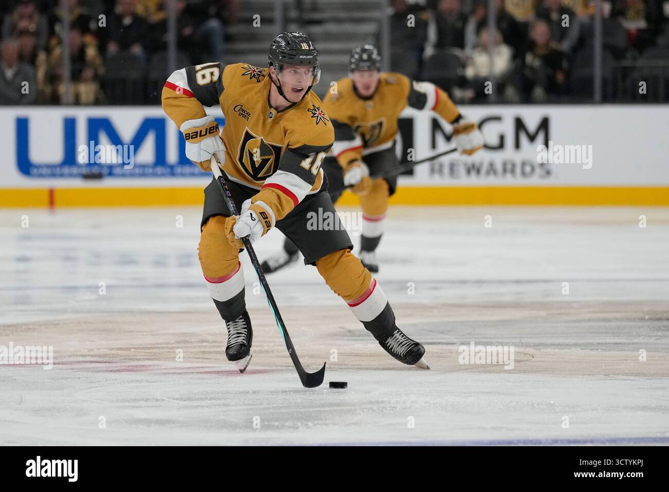 Pavel Dorofeyev Decoding the Replay Review: A Deep Dive into NHL Protocols