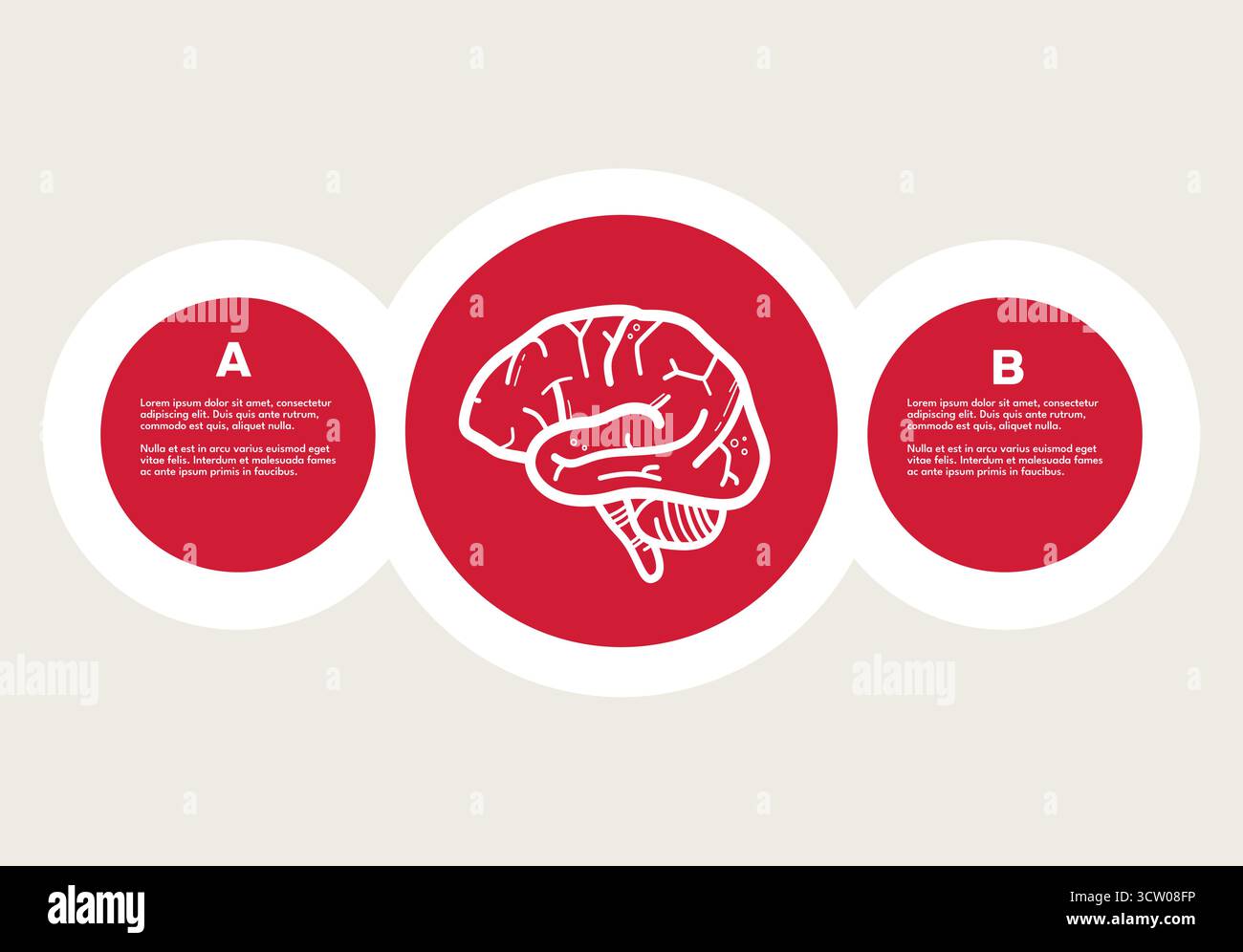 human brain infographic red circles vector illustration Stock Vector