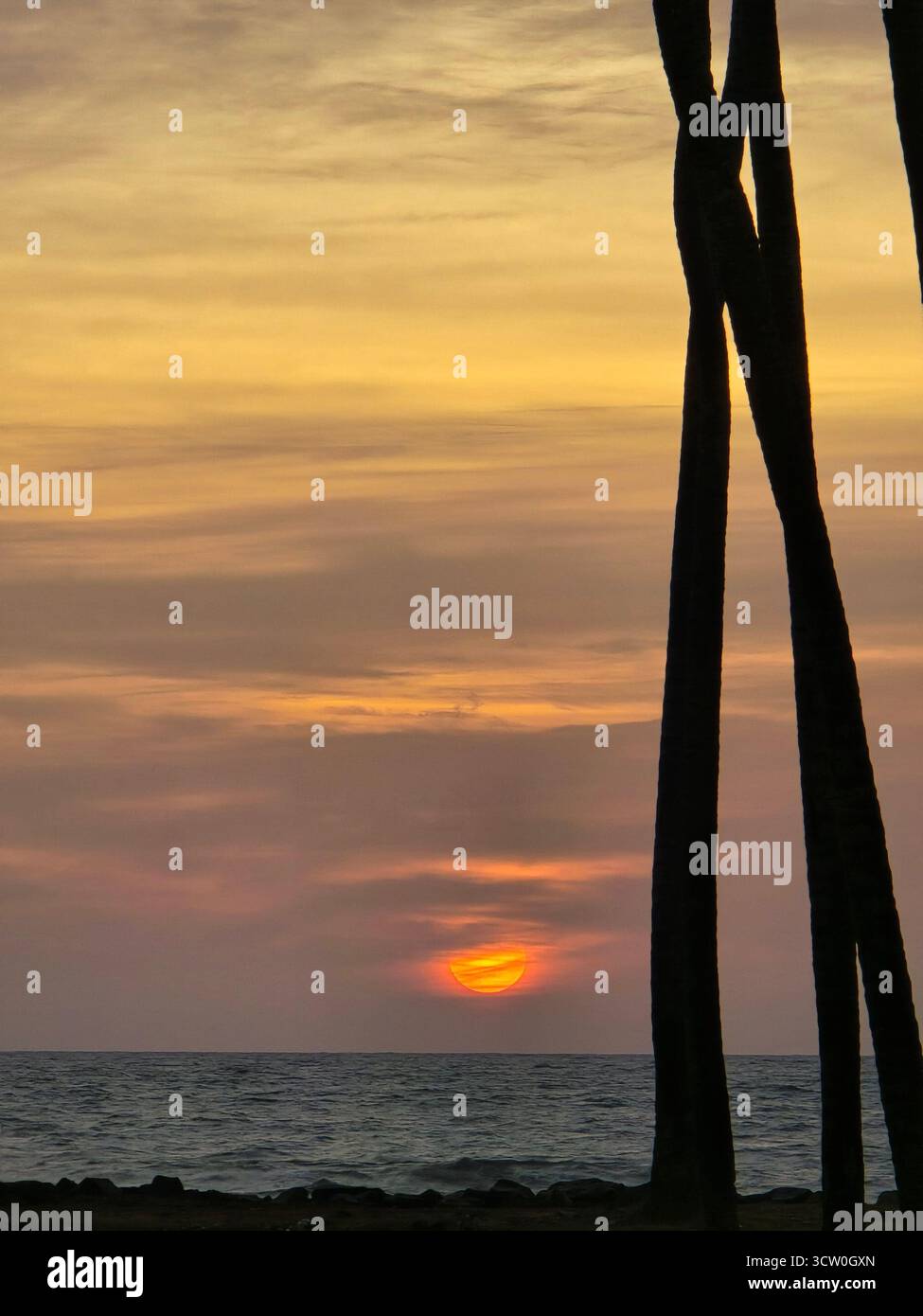 Beautiful beach evening sunset golden sky sunset sri lankan beach love wind coconut tree coconut trees horizon love beautiful nature natural raw photos shadow photography - Smartphone Captured Stock Image