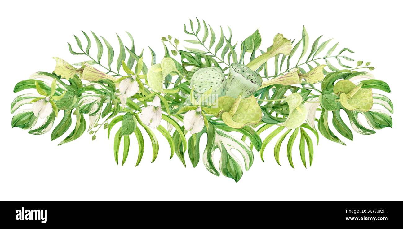 Bouquet of white orchids, green anthurium, sarracenia and monstera leaves. Exotic plants of tropical forests and jungles. Watercolor illustration for summer wedding invitations in jungle style. Stock Photo
