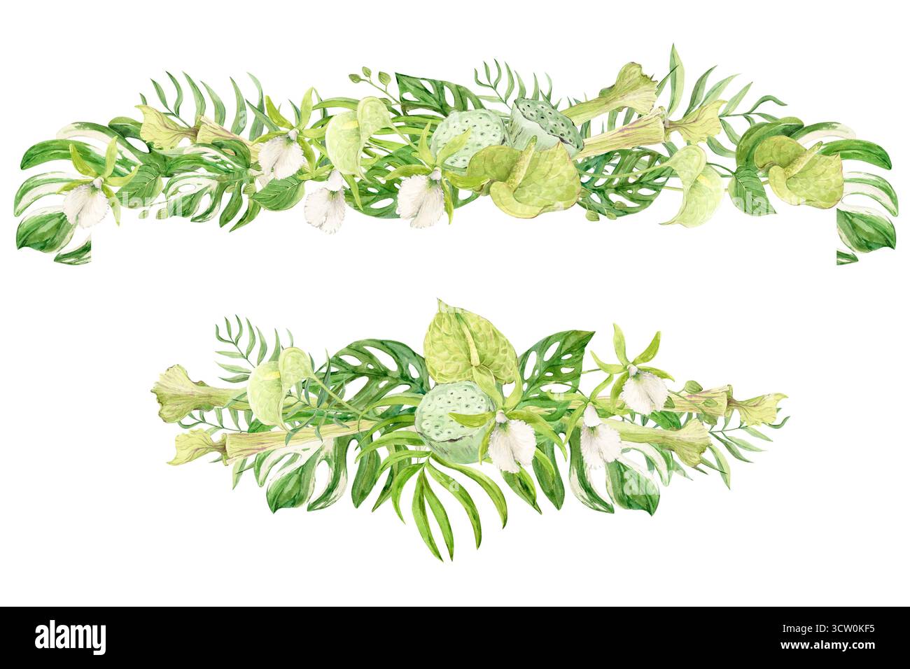 Horizontal template of white orchids, green anthurium, sarracenia and monstera leaves. Exotic plants of tropical forests and jungles. Watercolor illustration for wedding invitations in jungle style. Stock Photo