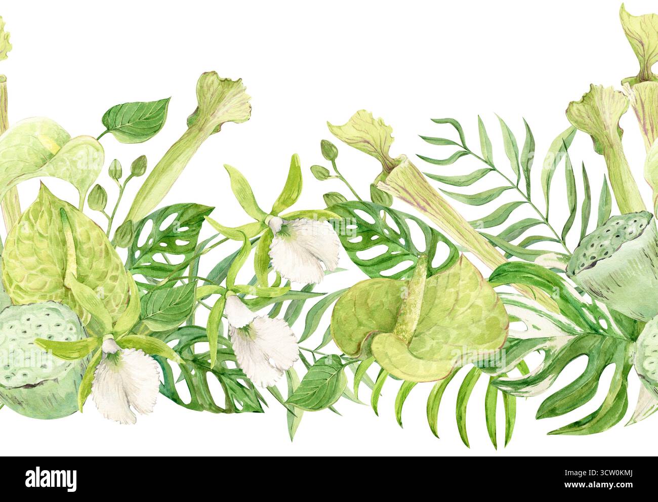 Horizontal seamless pattern of white orchids, green anthurium, sarracenia and monstera leaves. Exotic plants of tropical forests and jungles. Watercolor for wedding invitations in jungle style. Stock Photo