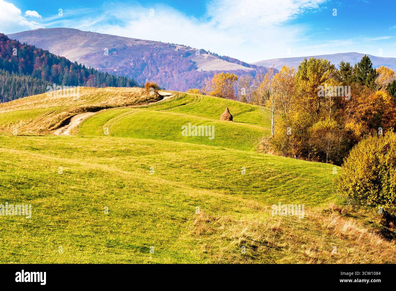 autumnal countryside of carpathian mountains. beautiful landscape of ukraine in morning light. scenery with trees in colorful foliage and meadows on r Stock Photo