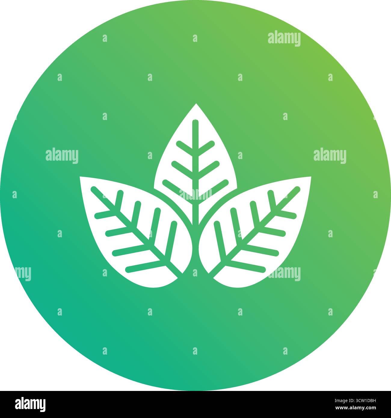 Leaf Vector Icon Design Illustration Stock Vector