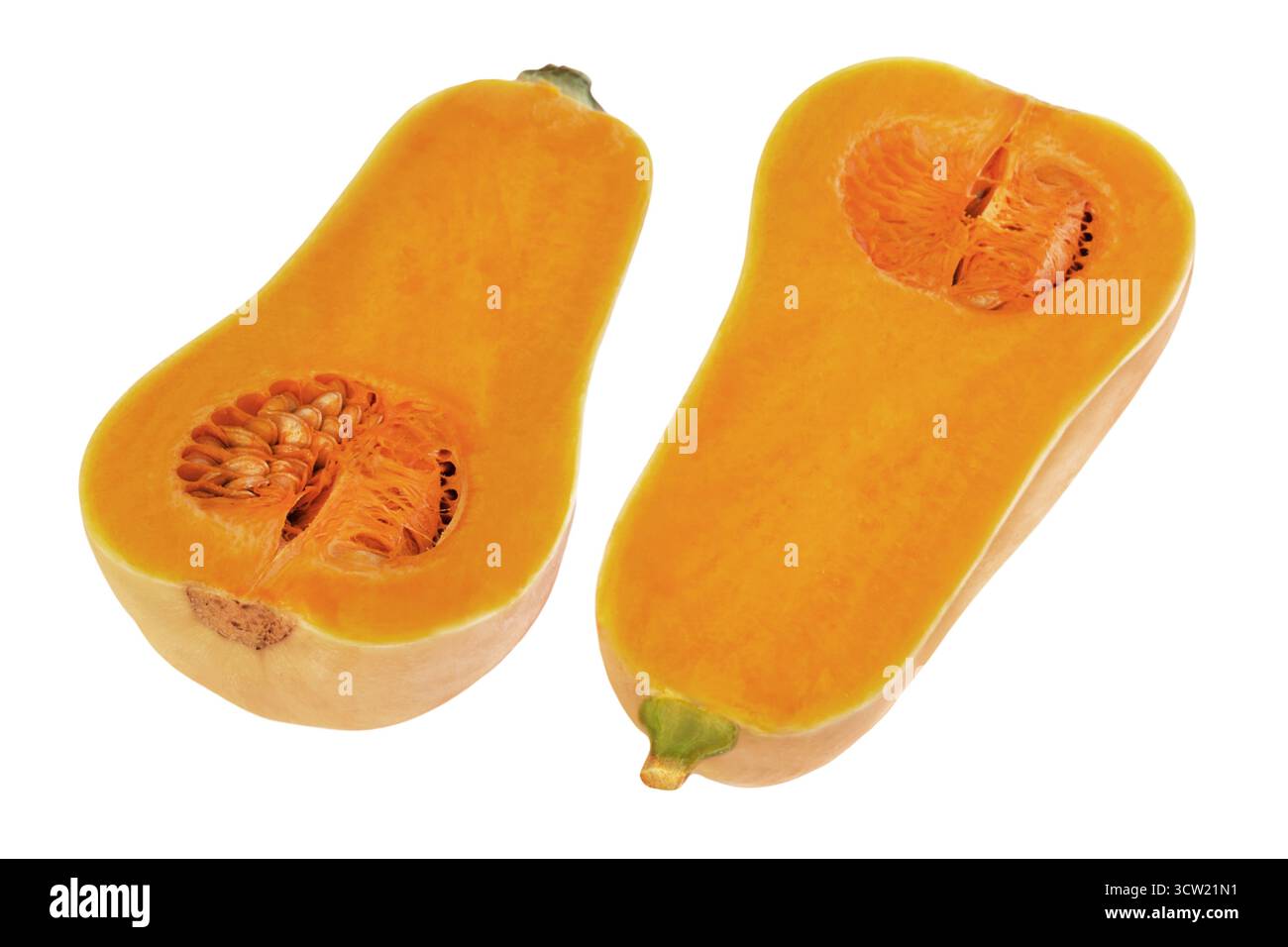 Butternut Pumpkin isolated on white background Stock Photo