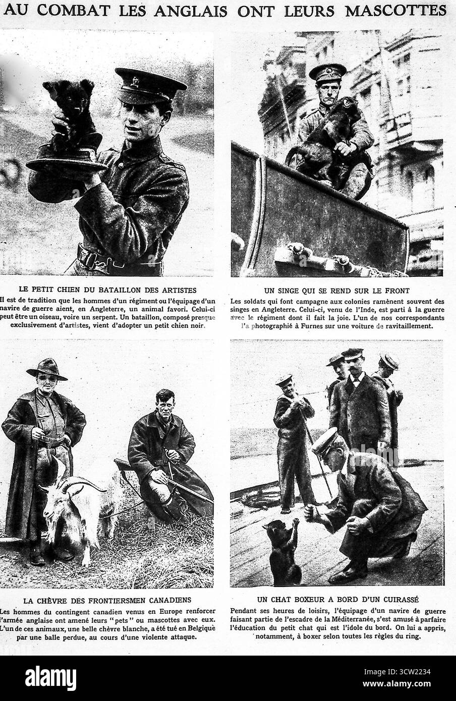 Soldiers and animals Black and White Stock Photos & Images - Alamy