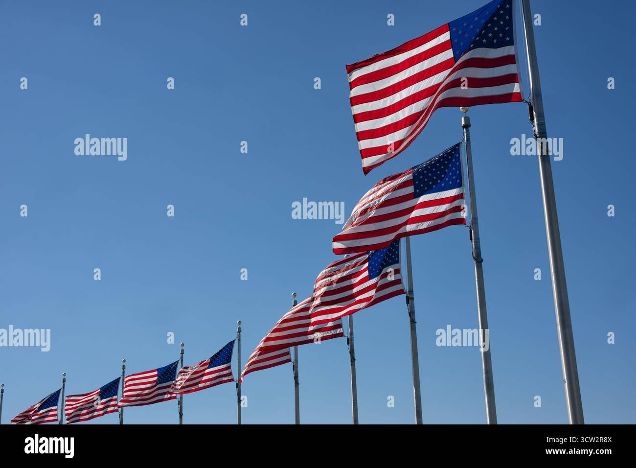 American Flags On National Mall Washington DC // WASHINGTON DC ...