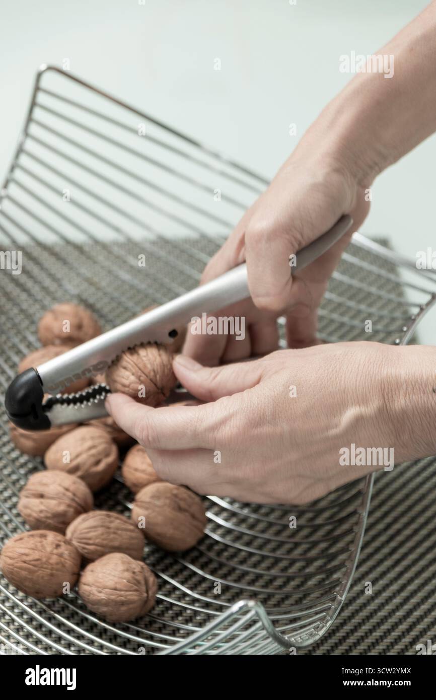 Hands cracking nutritious walnuts with a nutcracker, preparing healthy snack Stock Photo