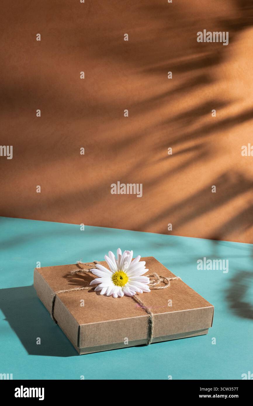 Craft gift box decorated with chamomile flower Stock Photo