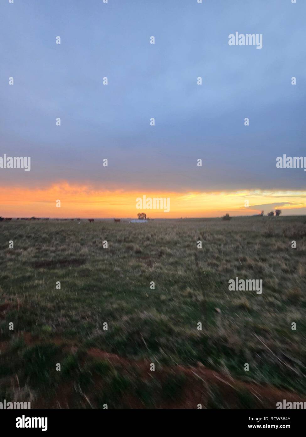 Beautiful pictures of nature at its golden best, farm land in south africa with beautiful back drops - Smartphone Captured Stock Image