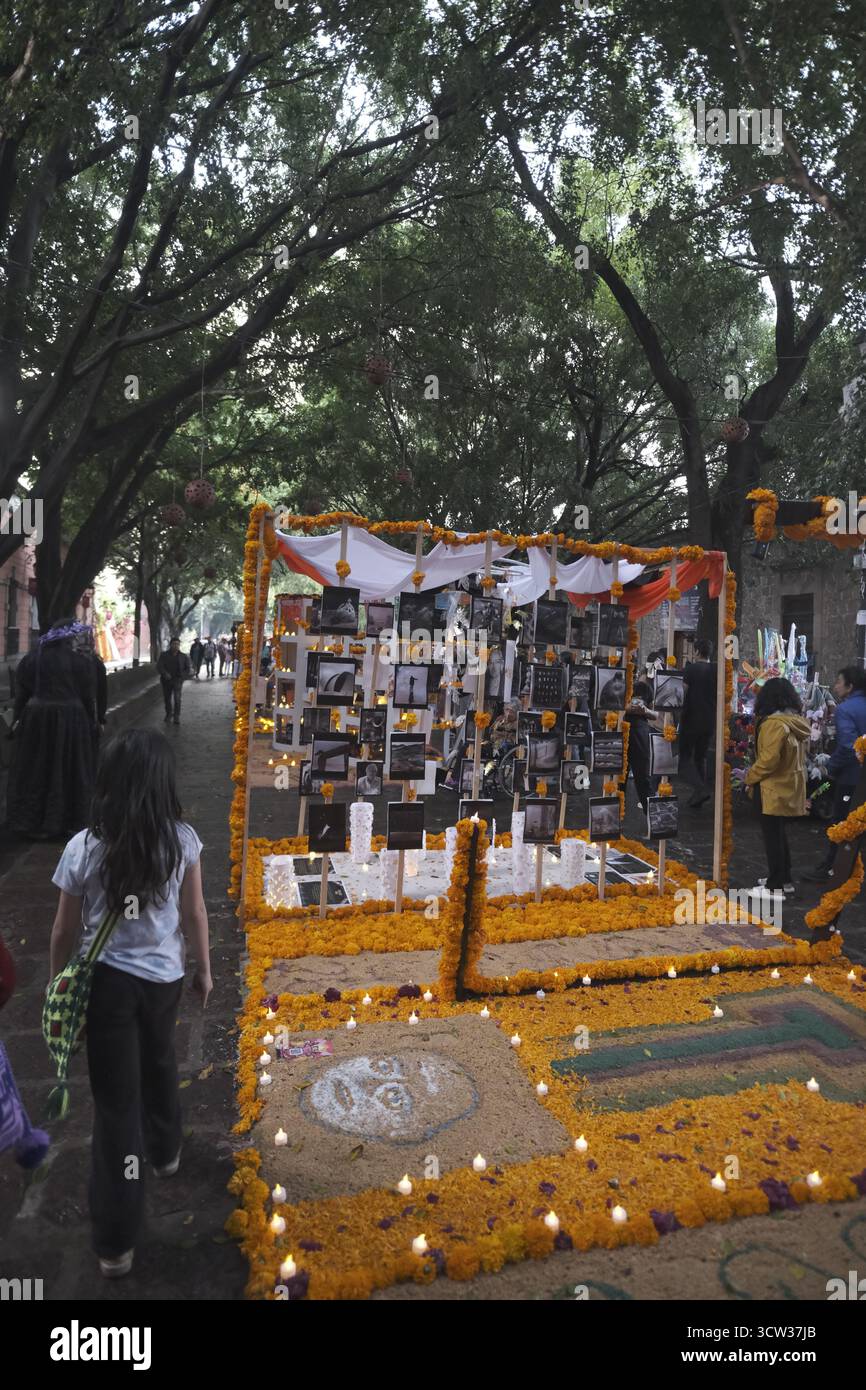 Morelia, Michoacán. Día de Muertos. Groups of people design and install their altars with cempasuchil flowers on the public space. Stock Photo
