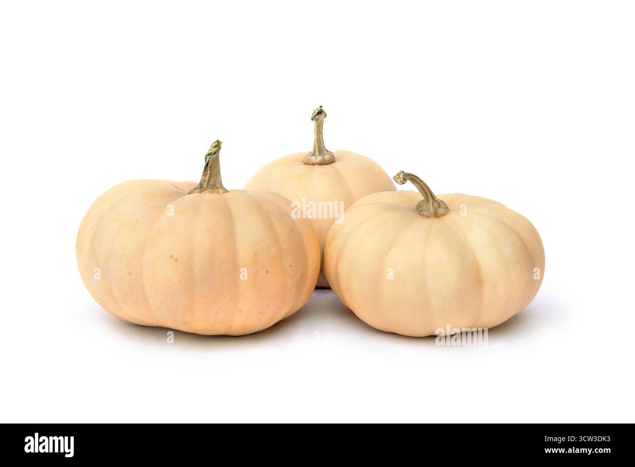 Fresh raw pumpkins on a white background with space for text Stock Photo