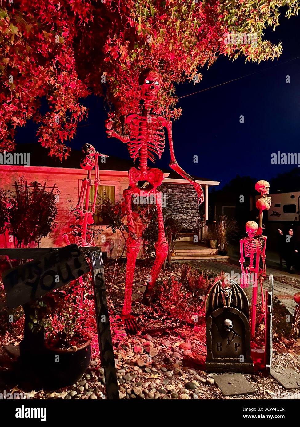 Giant Skeletons and Tombstones in Halloween Night Display - Smartphone Captured Stock Image