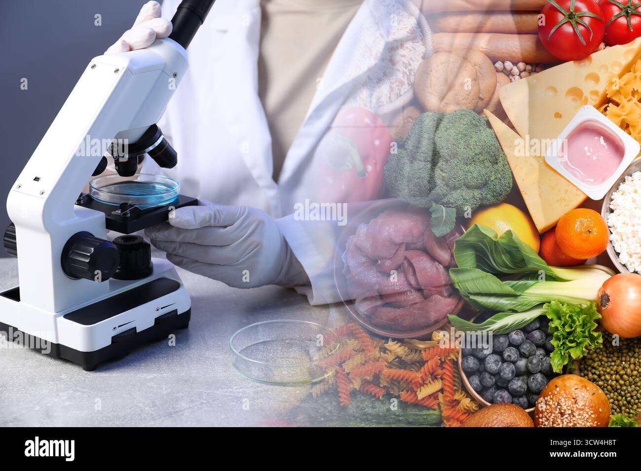 Food quality analysis. Laboratory worker using microscope, double exposure with different products Stock Photo