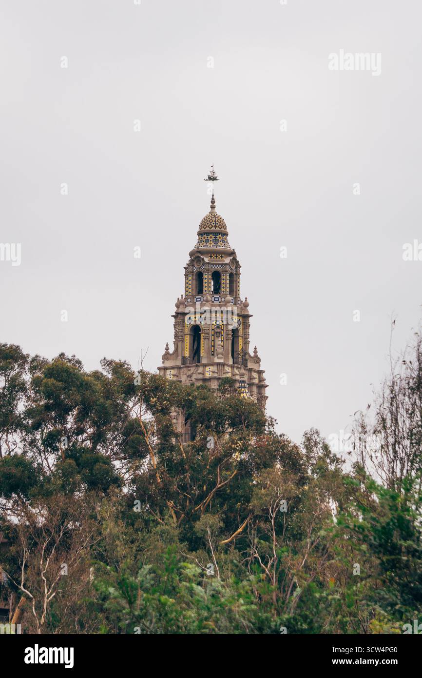 Foreground of detailed trees hi-res stock photography and images - Alamy