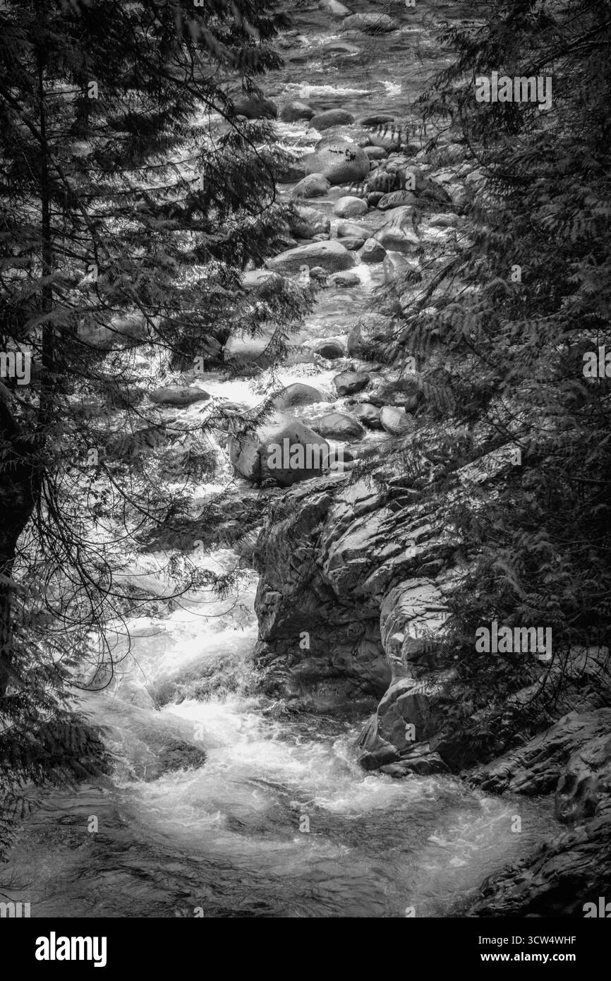 Serene scenic view flowing Black and White Stock Photos & Images - Alamy