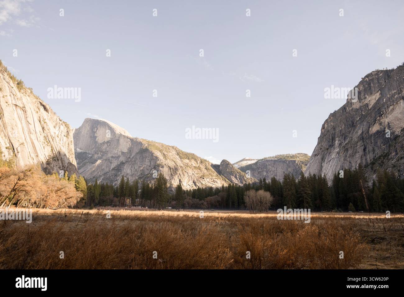 Half Dome and valley cliffs rise above golden Yosemite meadow Stock ...