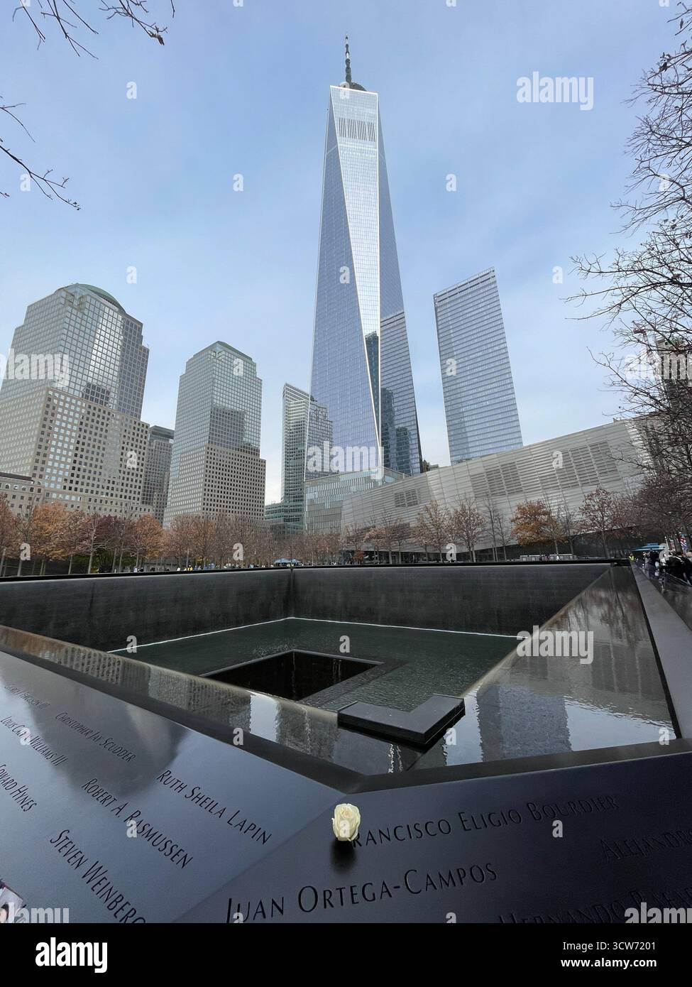 A white rose rests at the September 11 Memorial, honoring those lost. - Smartphone Captured Stock Image