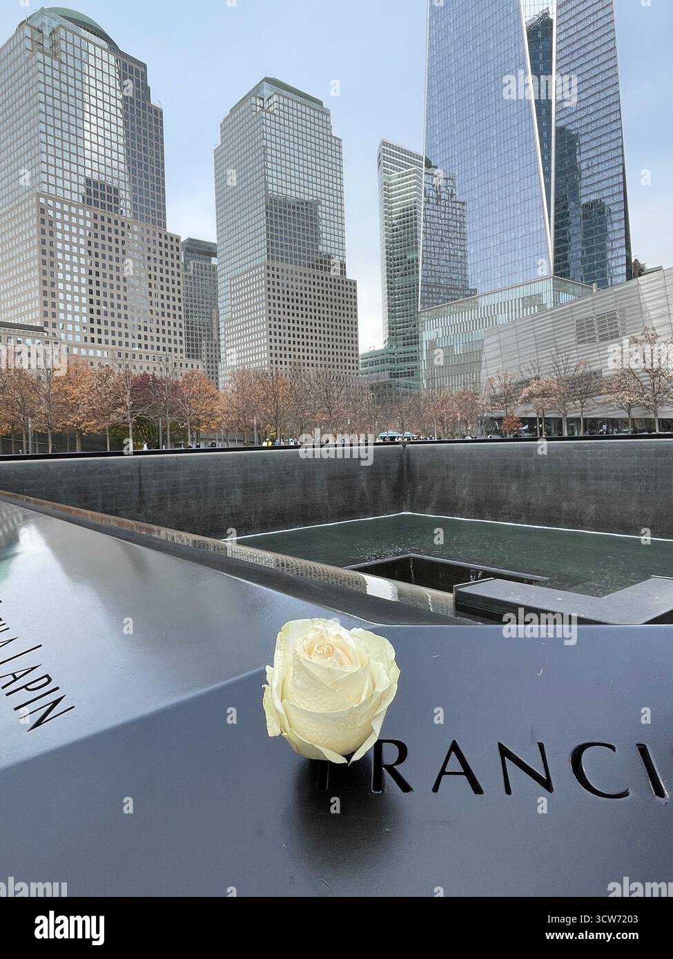 A white rose rests at the September 11 Memorial, honoring those lost. - Smartphone Captured Stock Image