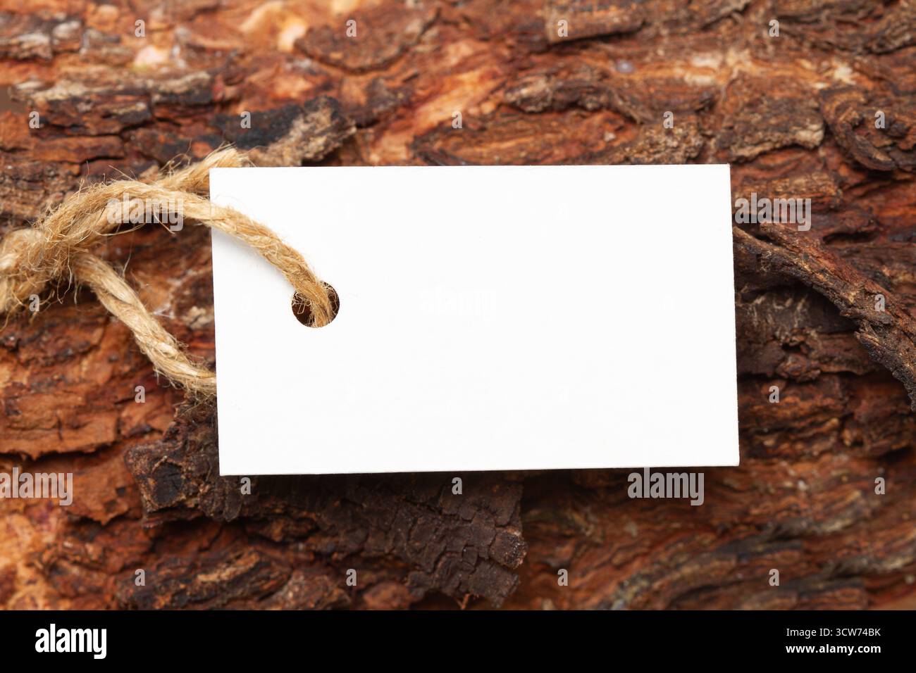 A white blank label with a string on the bark of a tree trunk in a close up view Stock Photo