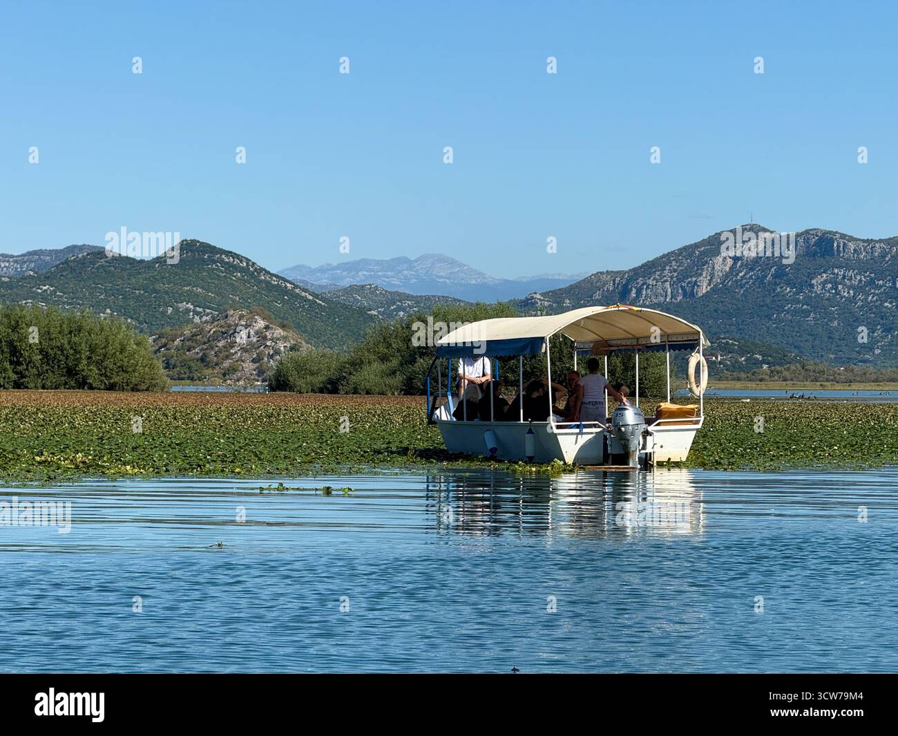 Boat trip on Lake Skadar, Lake Skadar National Park, Virpazar, Montenegro. - Smartphone Captured Stock Image