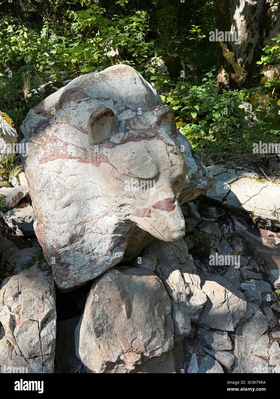 Carved stone bear, Biogradska Gora National Park, Kolasin, Montenegro. - Smartphone Captured Stock Image
