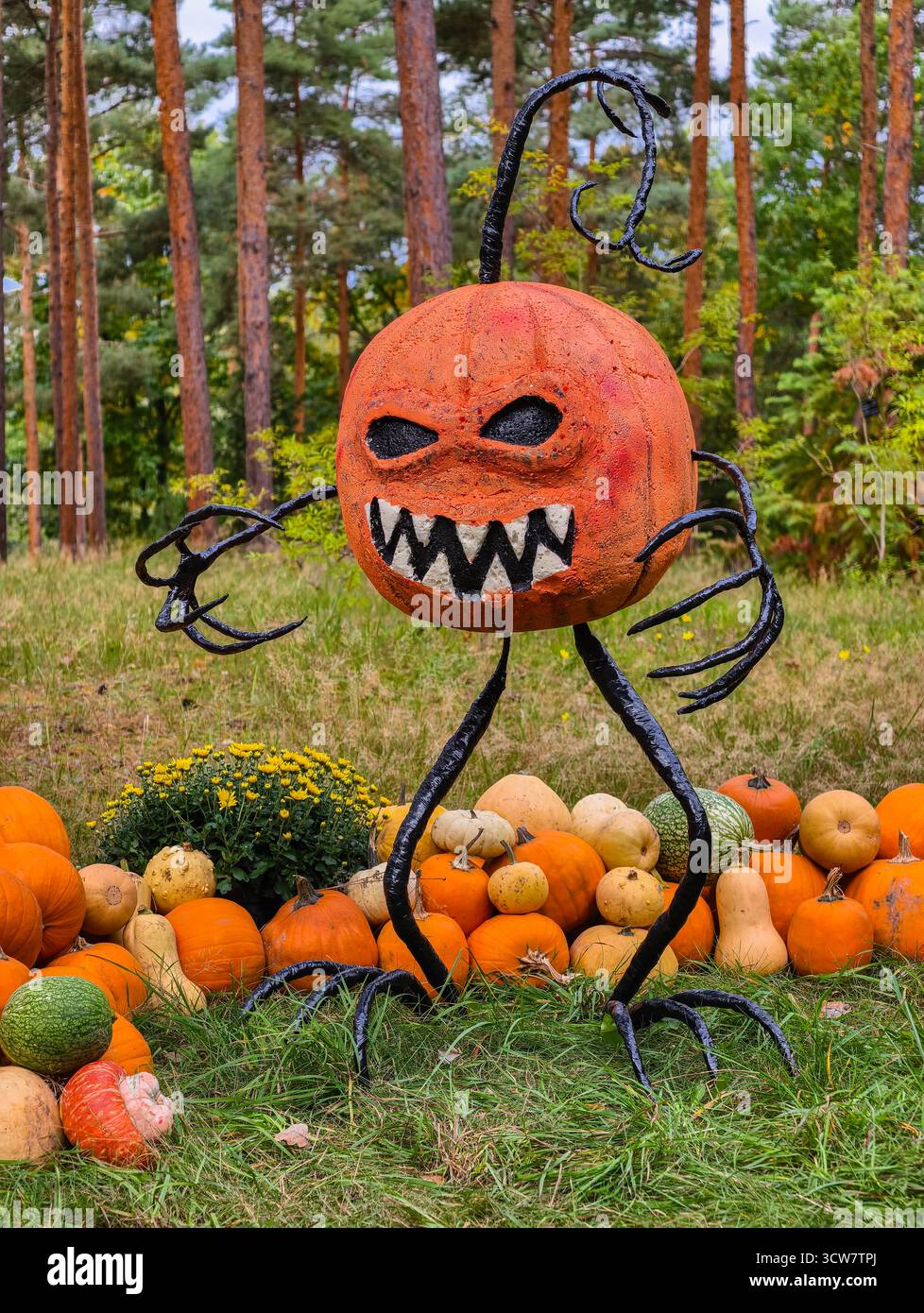 Halloween Pumpkin Decoration Display with Autumn Gourds and Squash Varieties in Festive Arrangement for Fall Celebration. Stock Photo