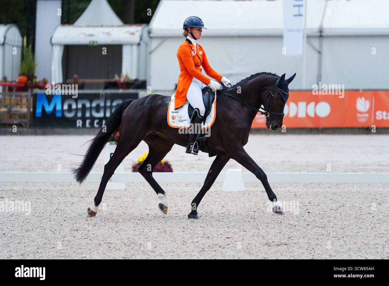 Sterre van houte hi-res stock photography and images - Alamy